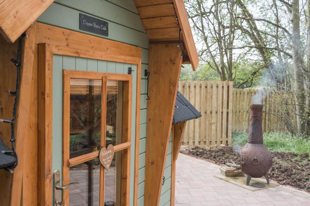 Cozy Carluke Lodge Retreat エクステリア 写真