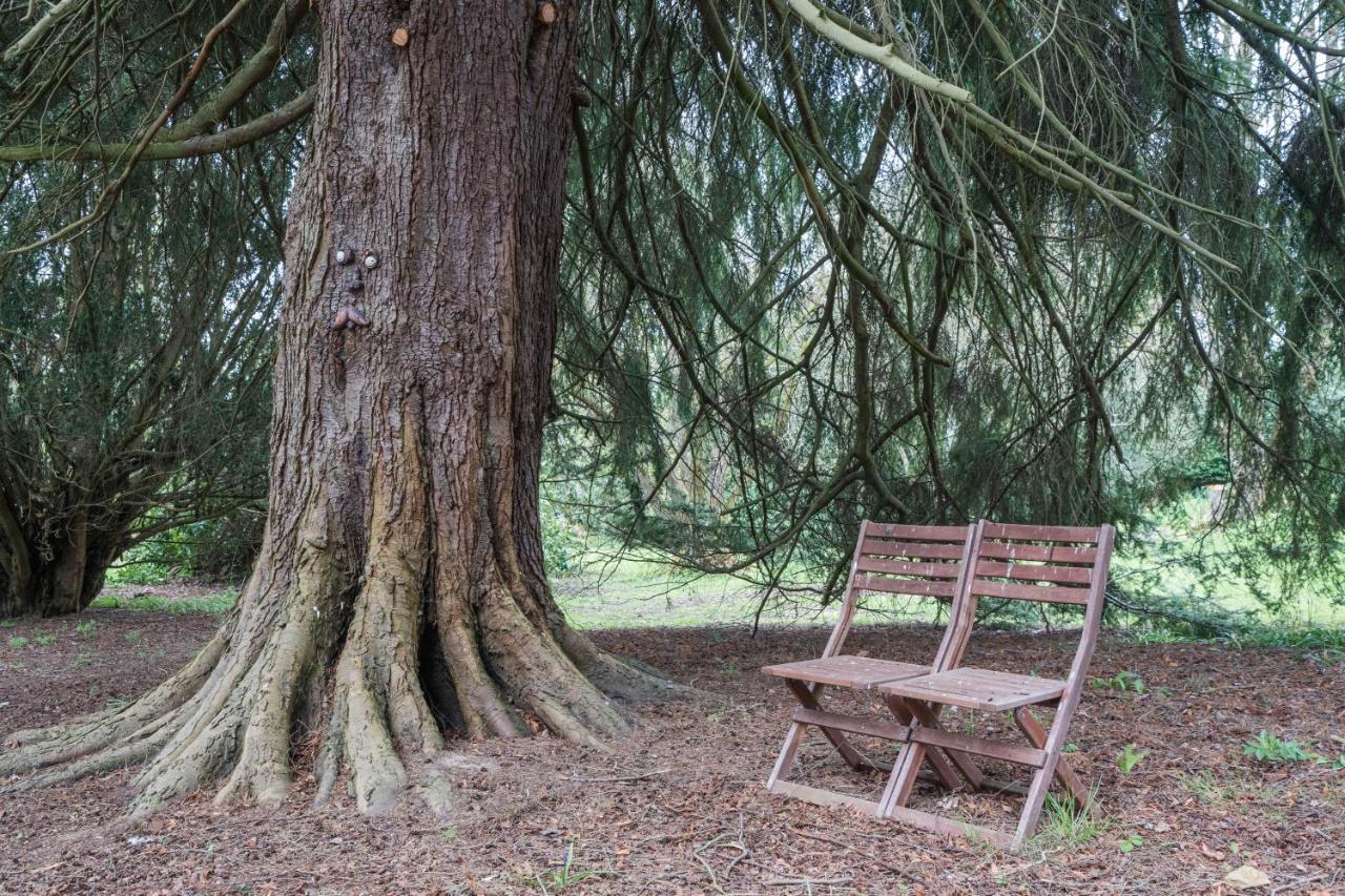 Cozy Carluke Lodge Retreat エクステリア 写真