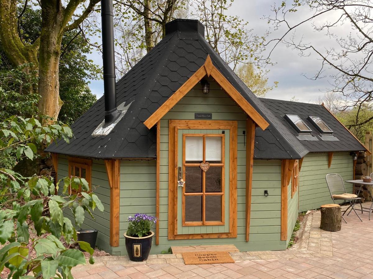 Cozy Carluke Lodge Retreat エクステリア 写真